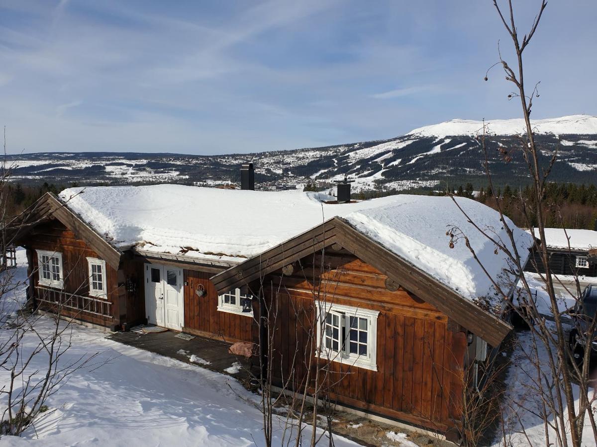 Reveenka - Cabin In Trysil With Jacuzzi For Rent Exteriér fotografie
