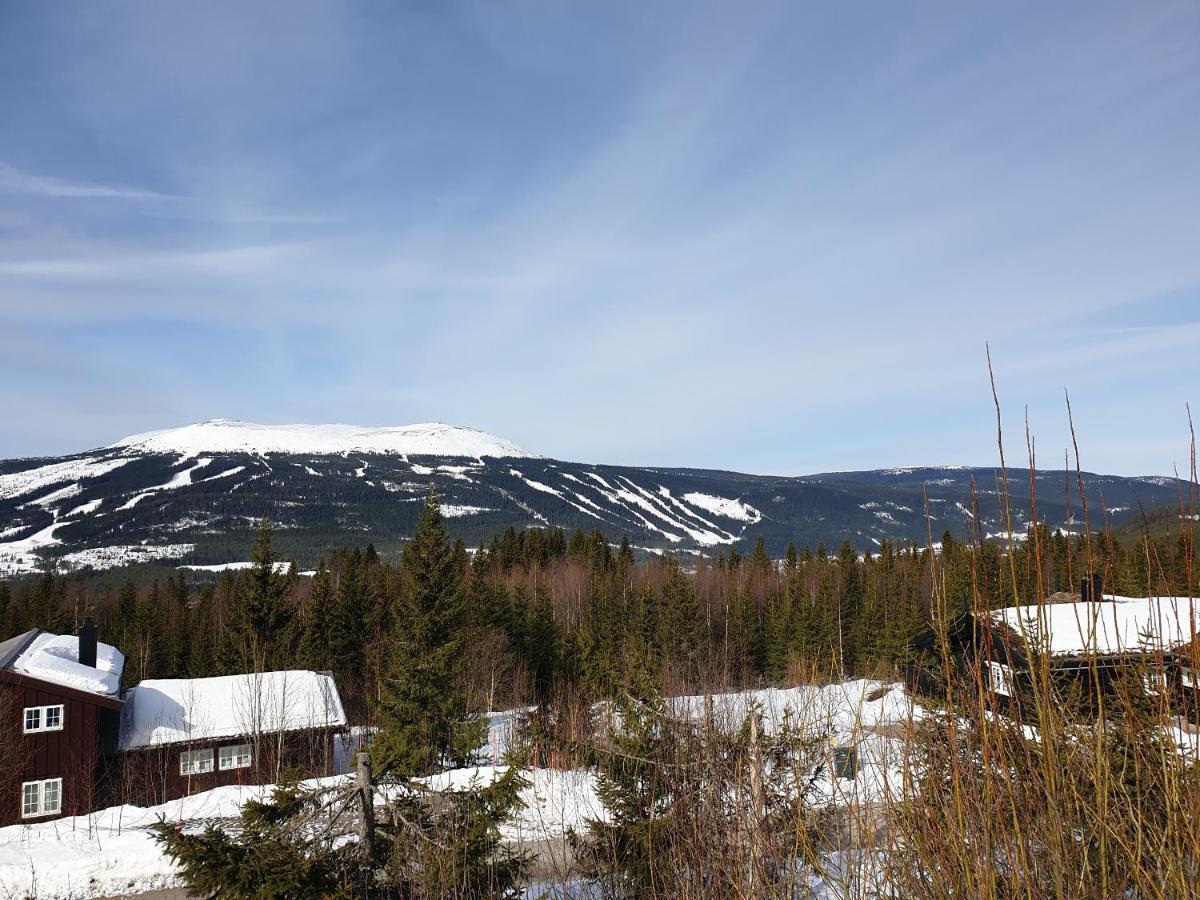Reveenka - Cabin In Trysil With Jacuzzi For Rent Exteriér fotografie